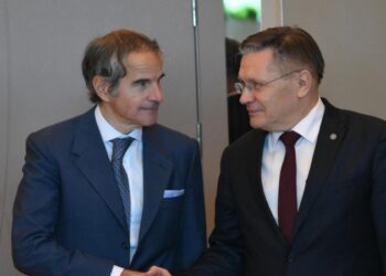 Главы «Росатома» и МАГАТЭ начали встречу в Калининграде