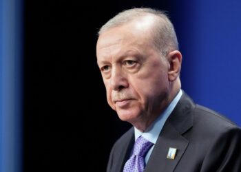 Источник: Эрдоган обсудит урегулирование на Украине с Совбезом Турции