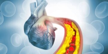 Одноразовая генная терапия навсегда снизит количество липидов в крови