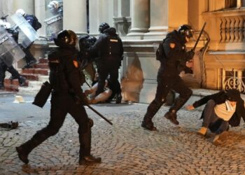 Полиция Сербии задержала демонстранта за обнажение на протесте