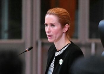 Представители ЕС не работали над планом США по Украине, заявила Каллас