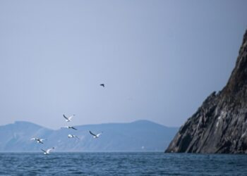 Разбегин сравнил тоннель между Россией и США с Лефортовским тоннелем