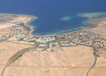 СМИ: посетителей рыбного рынка в Хургаде удивила «рыба-крокодил»