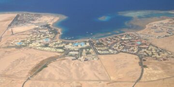 СМИ: посетителей рыбного рынка в Хургаде удивила «рыба-крокодил»