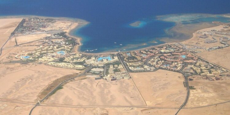 СМИ: посетителей рыбного рынка в Хургаде удивила «рыба-крокодил»