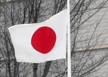 СМИ: правительство Японии включит талоны на рис в пакет экономических мер