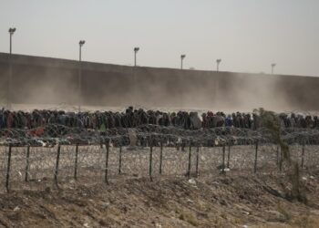 США будут использовать роботов для борьбы с картелями, сообщают СМИ