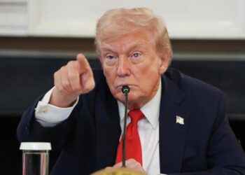 Трамп назвал животным стрелявшего в нацгвардию в Вашингтоне