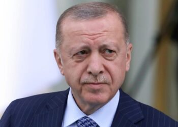 Турция продолжит усилия по достижению мира на Украине, заявил Эрдоган