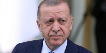 Турция продолжит усилия по достижению мира на Украине, заявил Эрдоган