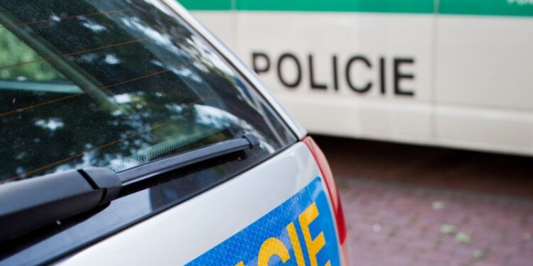 В Чехии один охотник случайно застрелил другого