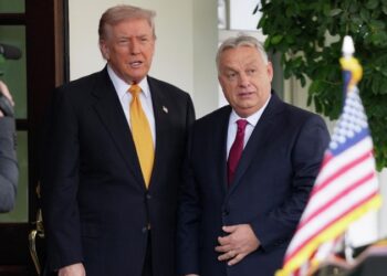 В Европе выступили с резким заявлением после встречи Трампа и Орбана