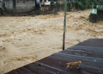 В Индонезии число погибших от наводнений и оползней выросло до 303 человек