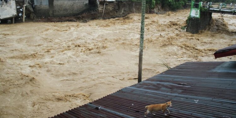 В Индонезии число погибших от наводнений и оползней выросло до 303 человек