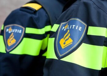 В Нидерландах пока не установили, кто стоит за инцидентами с дронами