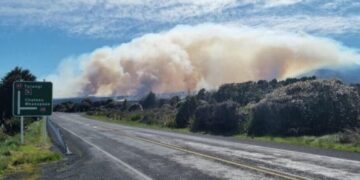 В Новой Зеландии произошел пожар в нацпарке, где снимали «Властелина колец»