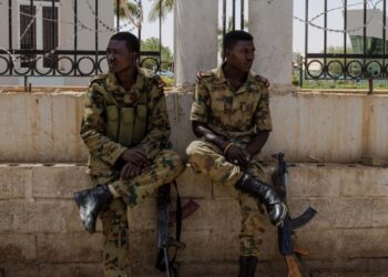 В Судане заявили, что Украина и Запад поставляют оружие для повстанцев