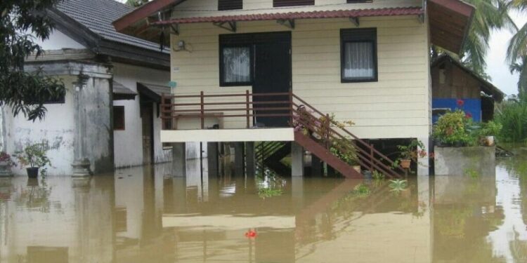 Выросло число погибших от наводнений и оползней в Индонезии