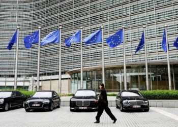 Ближайшие годы в ЕС будут отмечены нестабильностью, заявил евродепутат