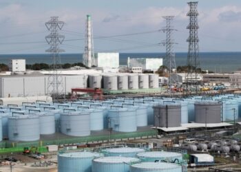 На АЭС «Фукусима» не выявили отклонений после землетрясения