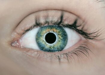 Напечатанная на 3D-принтере роговица вернула зрение слепому пациенту