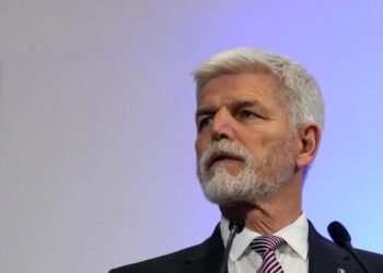 Президент Чехии допустил, что НАТО будет сбивать российские самолеты