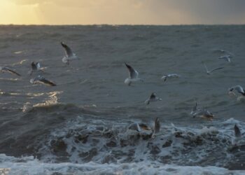 Российский танкер подвергся атаке в Черном море, сообщила Турция