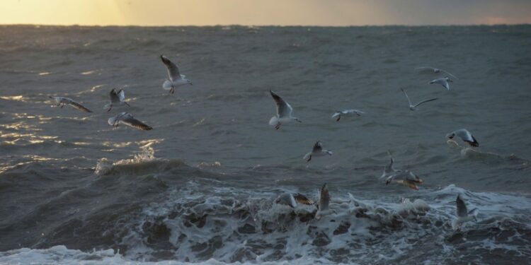 Российский танкер подвергся атаке в Черном море, сообщила Турция