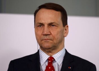 Сикорский резко ответил Маску, предложившему упразднить Евросоюз