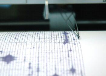 У побережья Индонезии произошло землетрясение