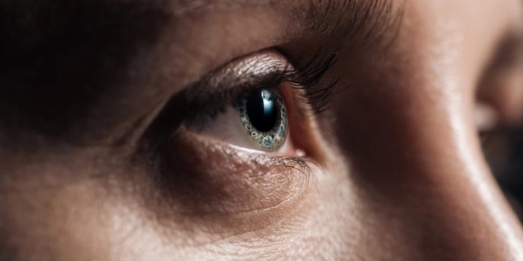 Ученые нашли способ перезапустить зрение у взрослых с синдромом «ленивого глаза»