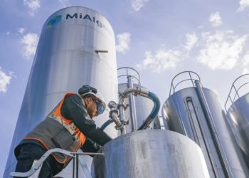 Новым источником омега-3 жирных кислот станут отходы производства виски