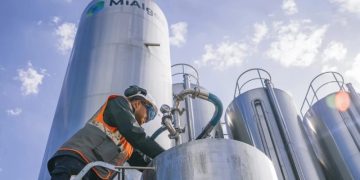 Новым источником омега-3 жирных кислот станут отходы производства виски